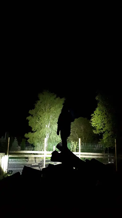 Licht