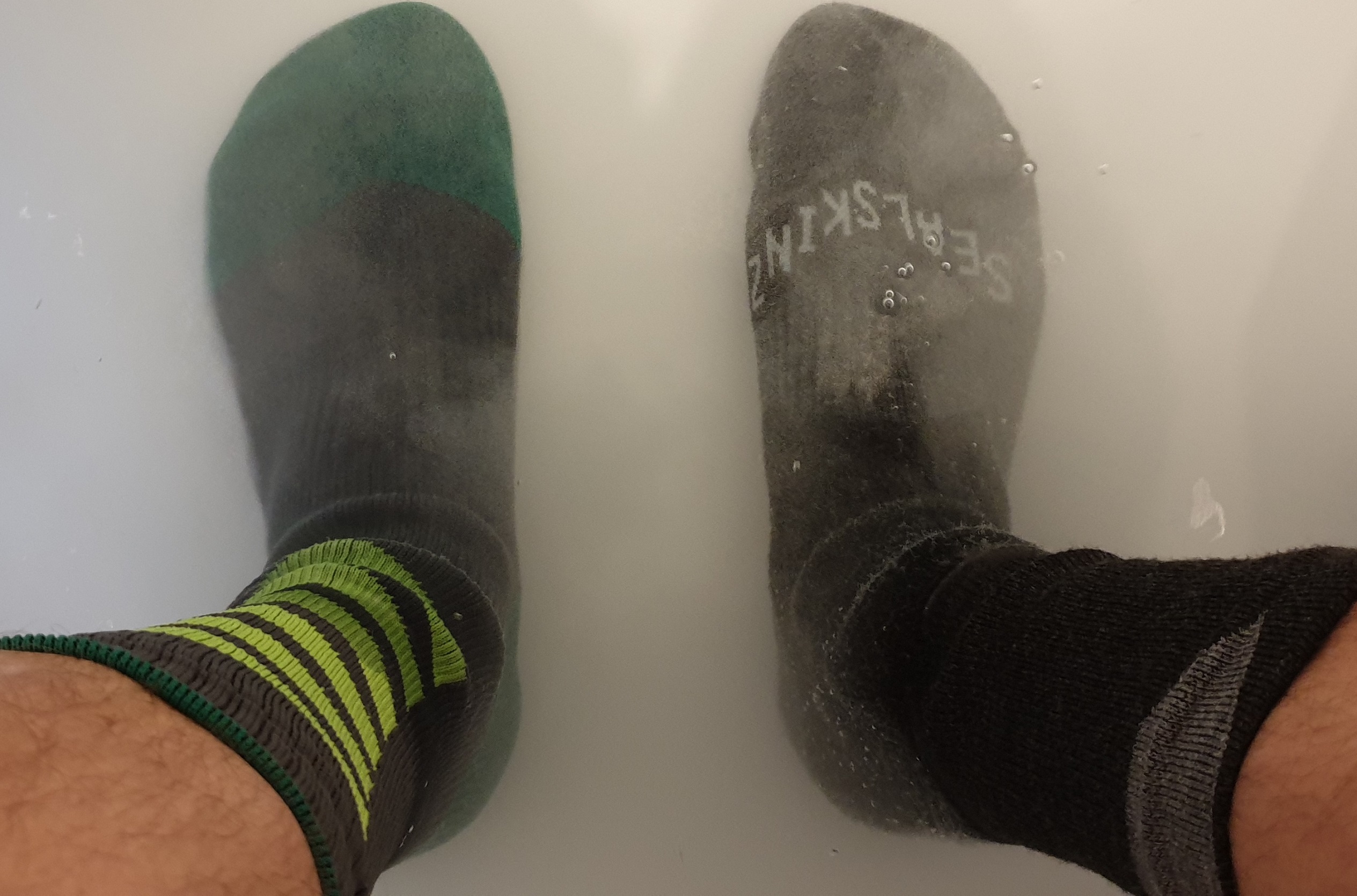 sealskinz