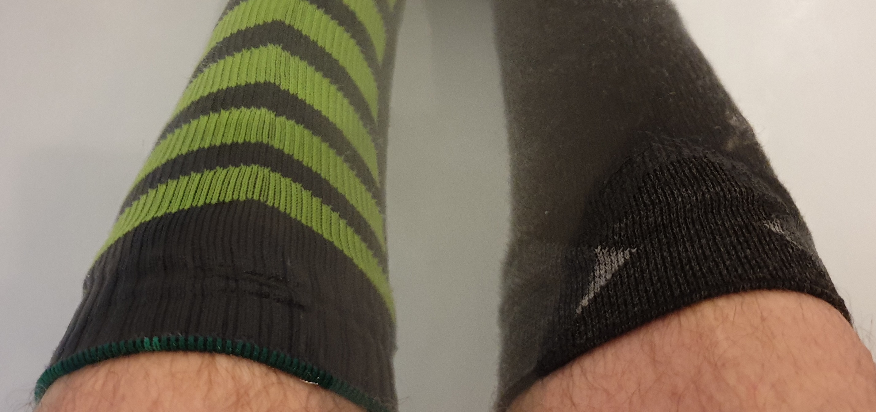 sealskinz