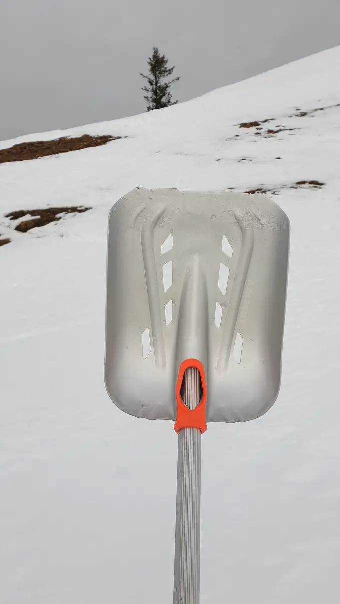 mammut