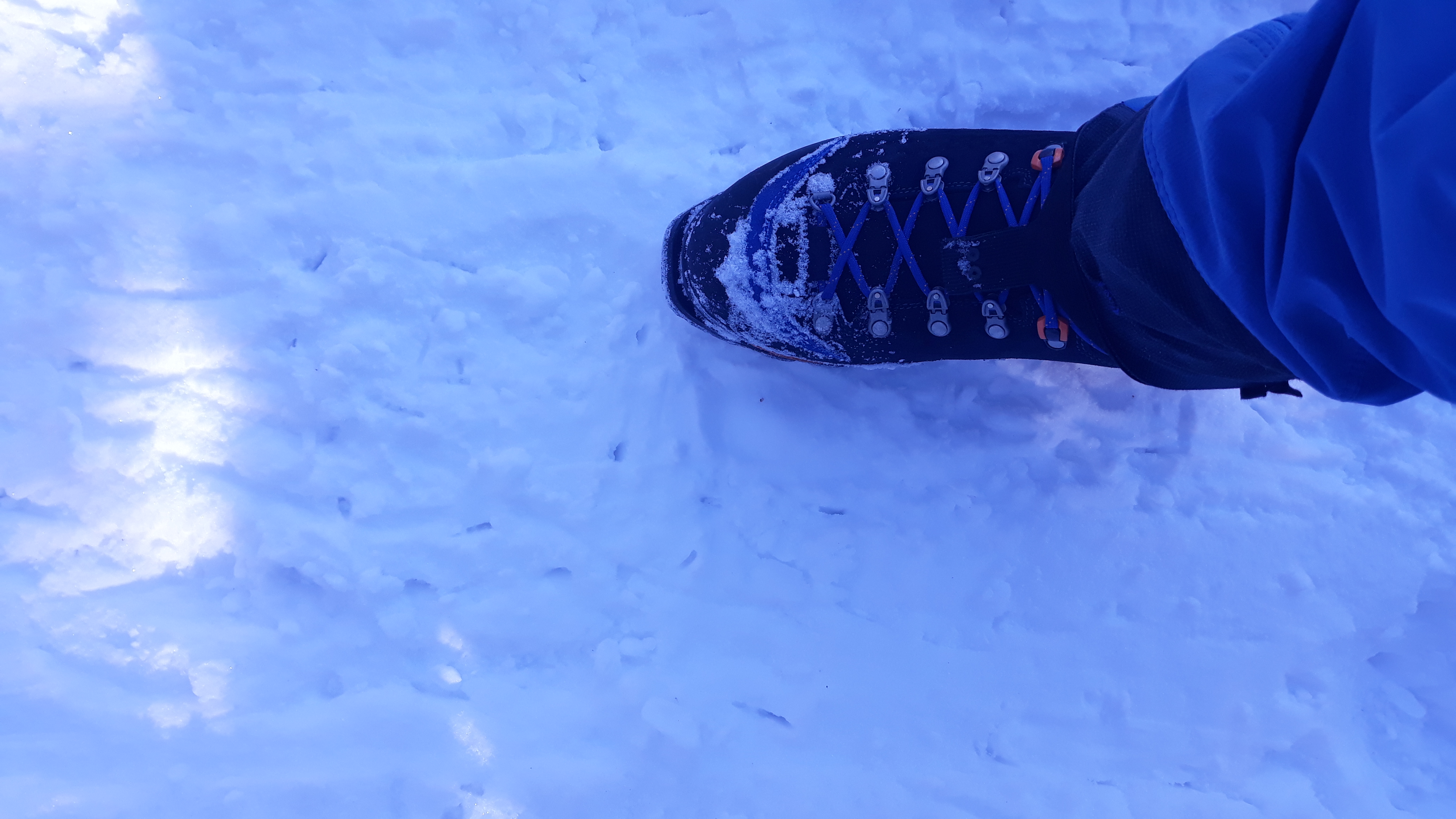 der schuh um den es geht