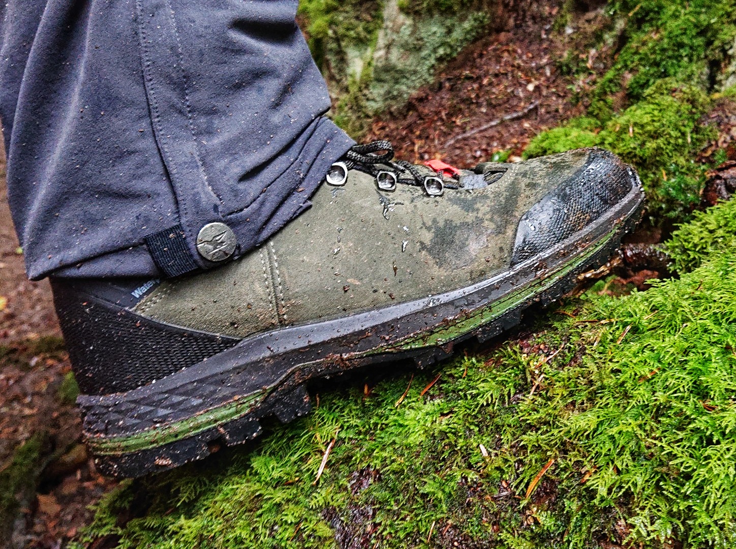 Schuh auf Moos