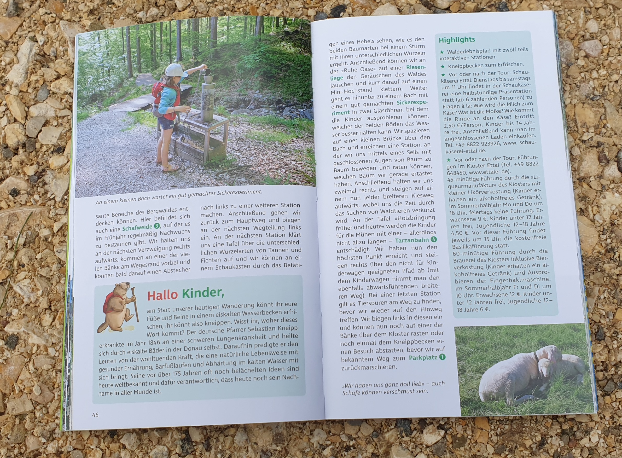 Erlebnis Wandern mit Kindern (Münchner Berge 2)