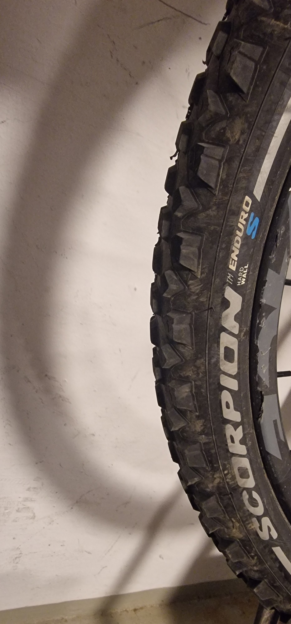 enduro s
