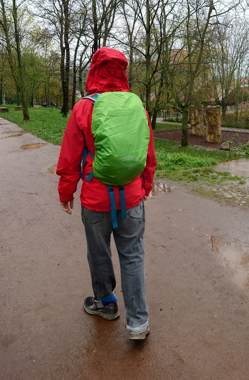 Regencover 4