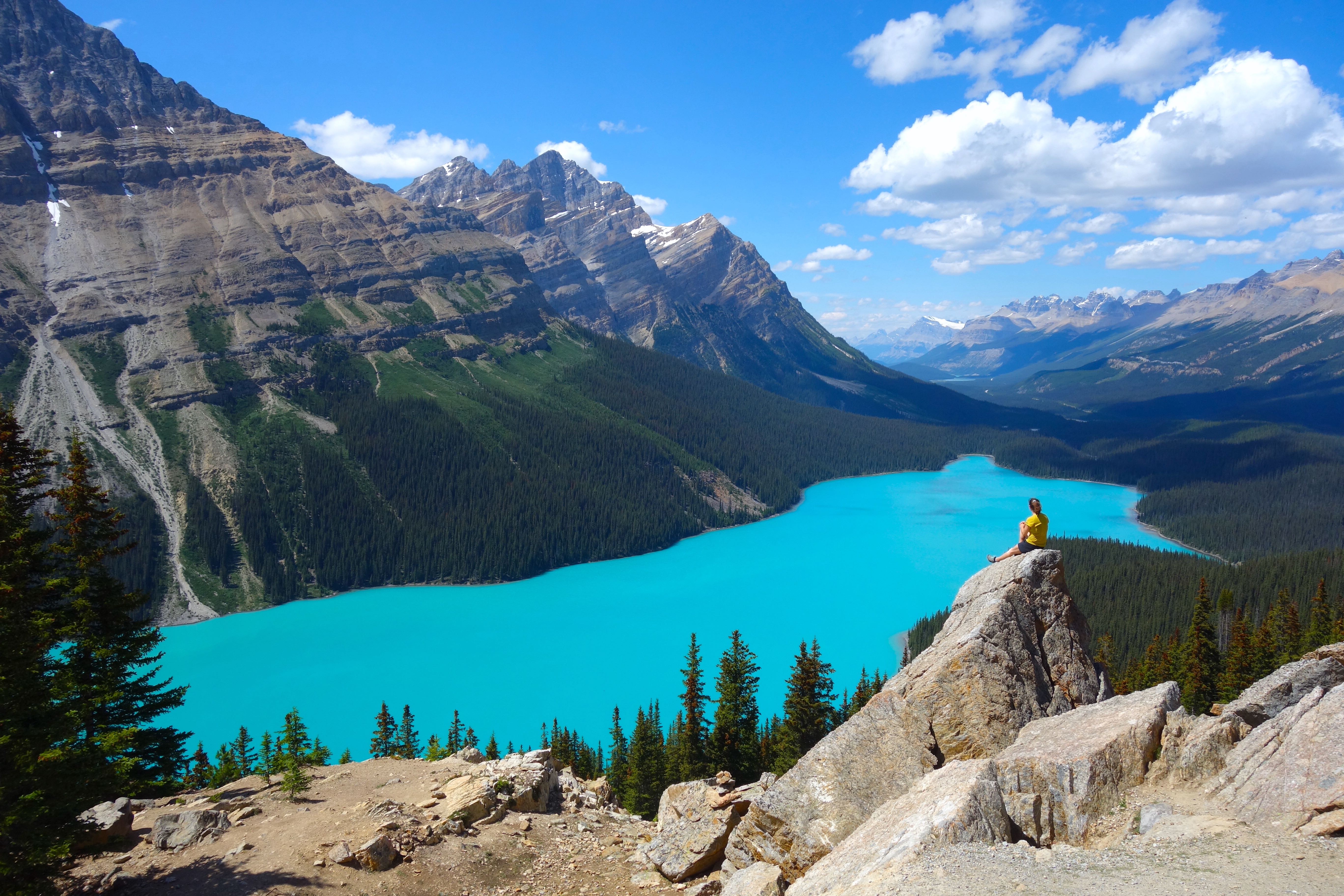 Im Hintergrund der Peyto Lake sehr türkis