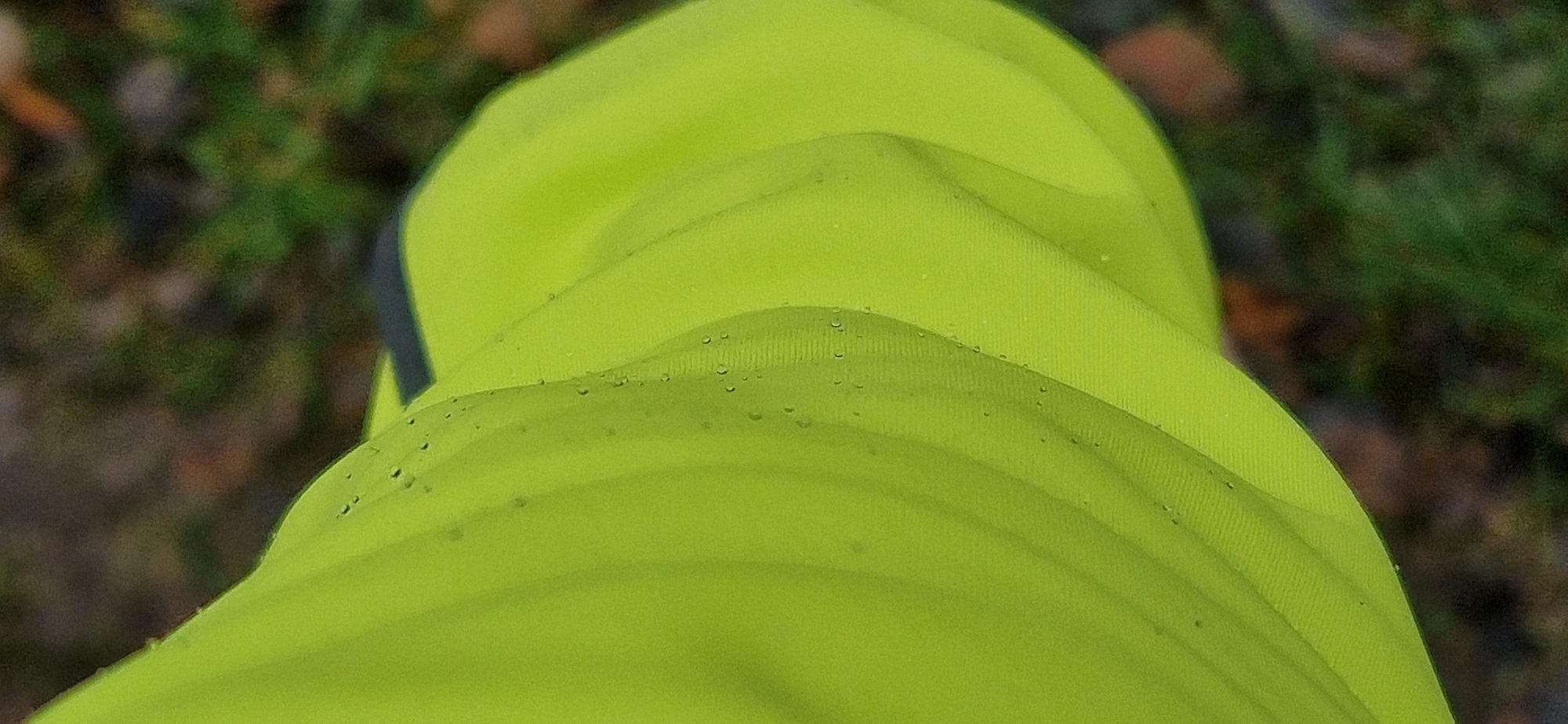 Löffler - Bike Jacket Cosmo WS Warm CF
