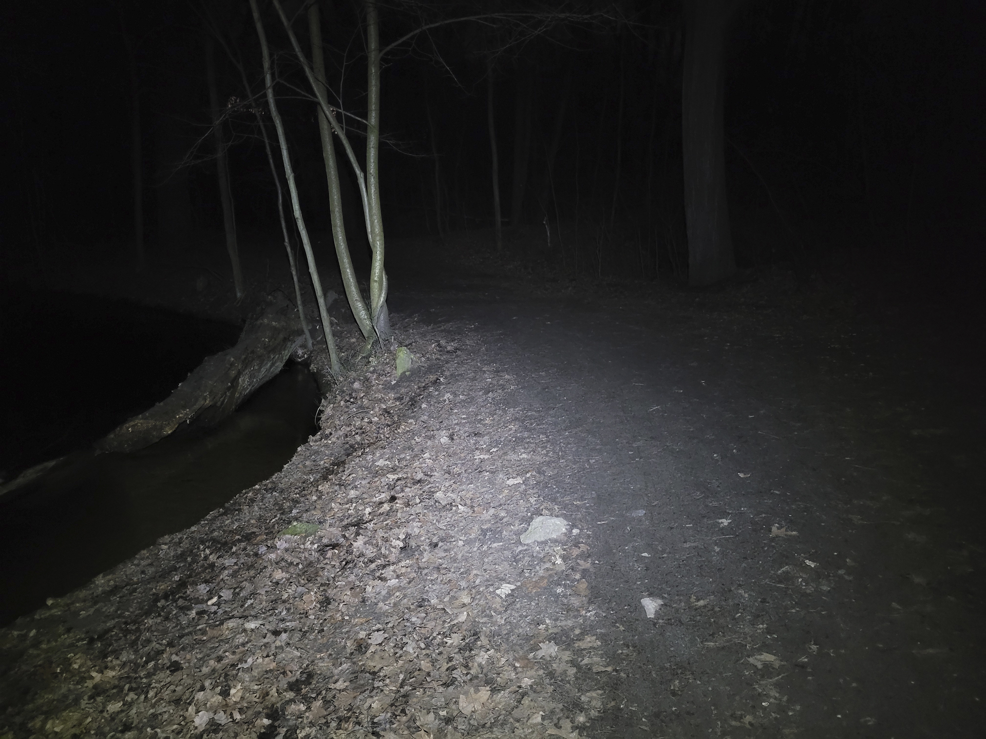Gut ausgeleuchteter Weg, Bäume in der Ferne aber schwerer zu erkennen.