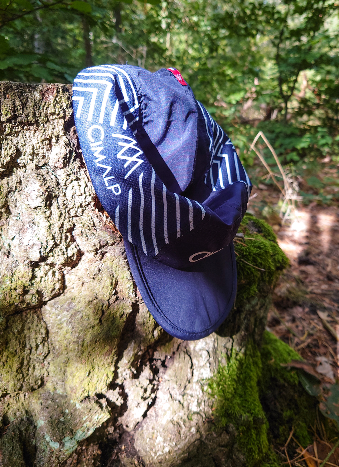 Mütze auf Baumstumpf3