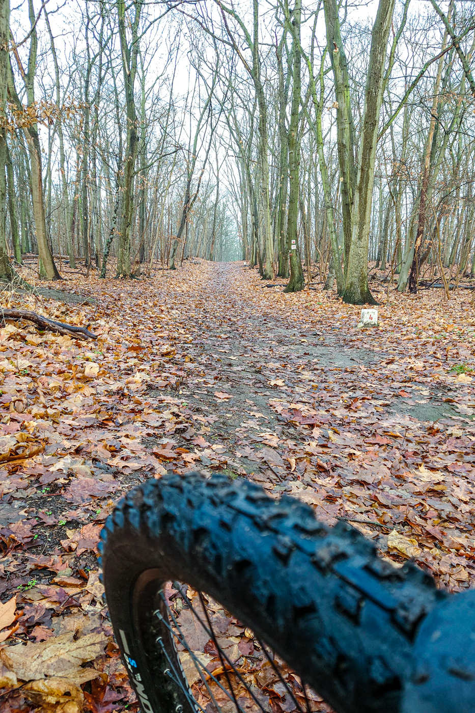 in der Natur