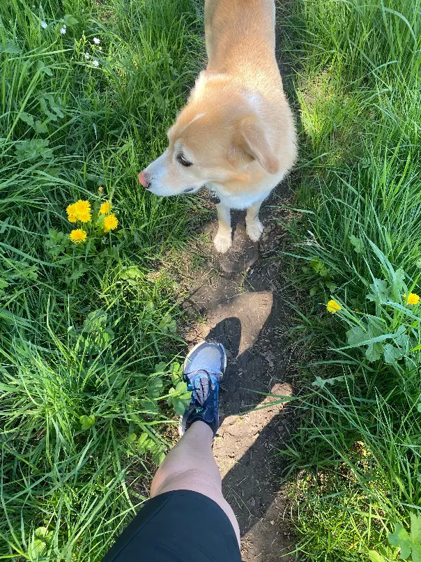 Viel Spaß mit den Coolen Coolmesh II Socken.