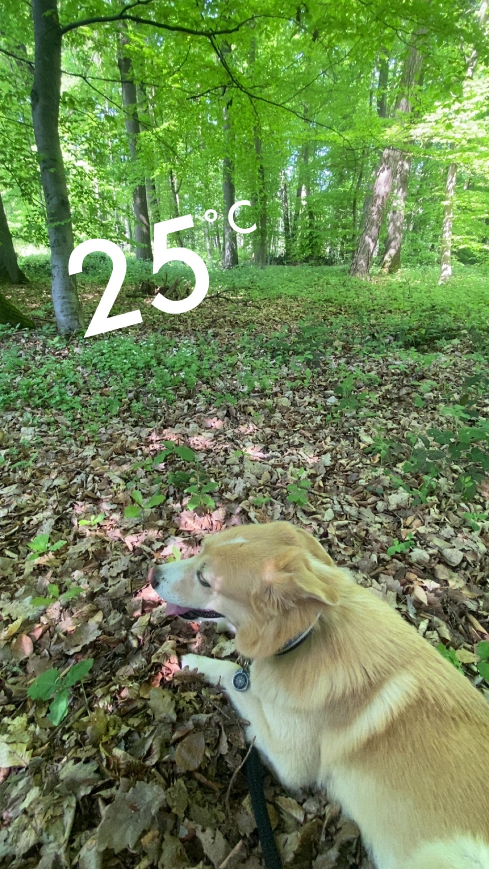 Beim Wandern kommt man an heißen Tagen ganz schön ins Schwitzen. An solchen Tagen neige ich ehr zu unangenehmen Blasen, als an kalten Tagen.