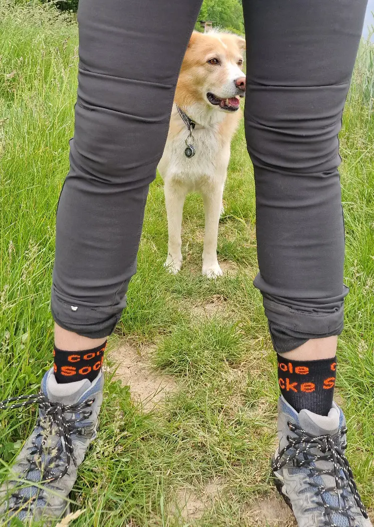 Die Socken habe mich voll überzeugt. Sie passen perfekt und sitzen sehr gut.