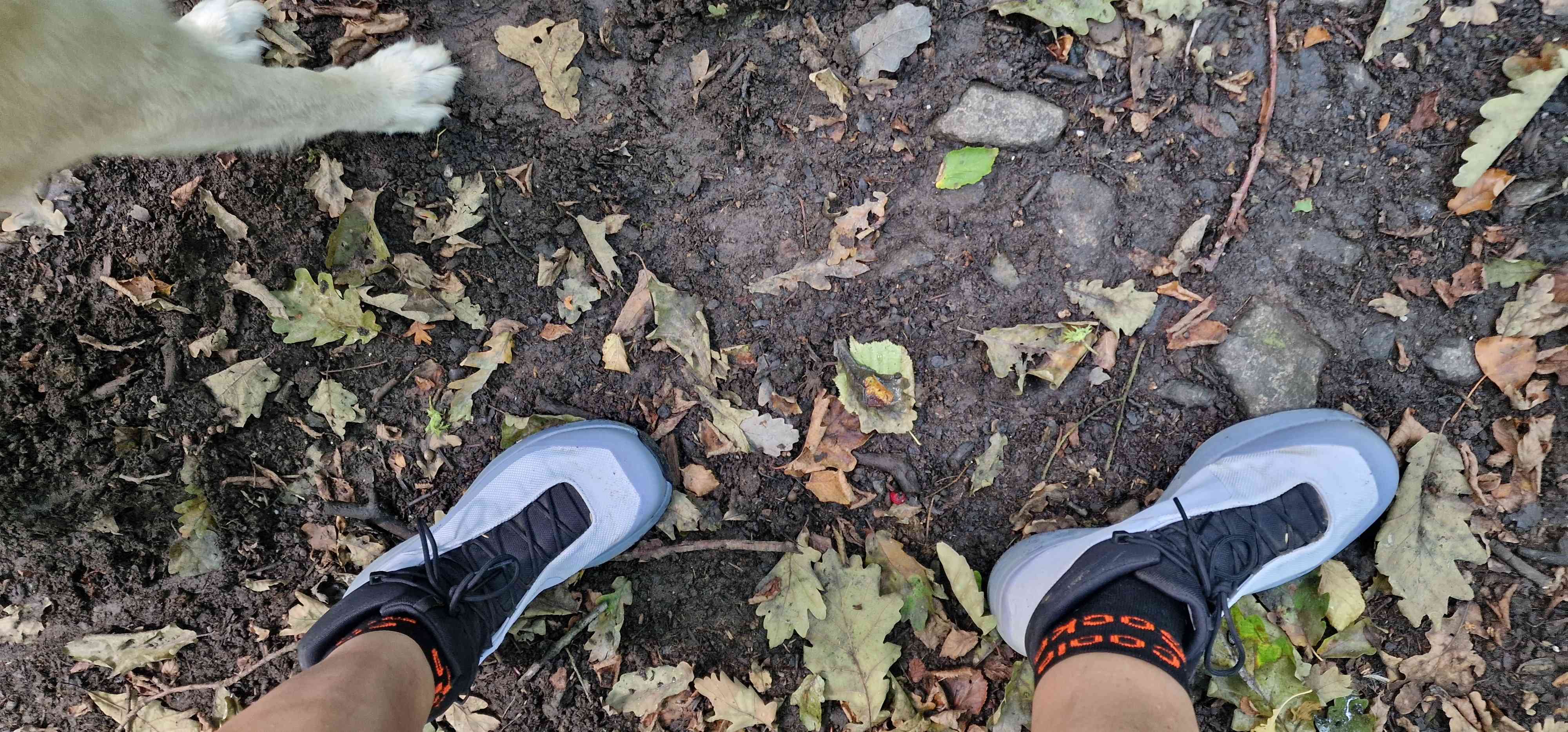 Ein Wanderschuh mit ganz viel Spaßfaktor