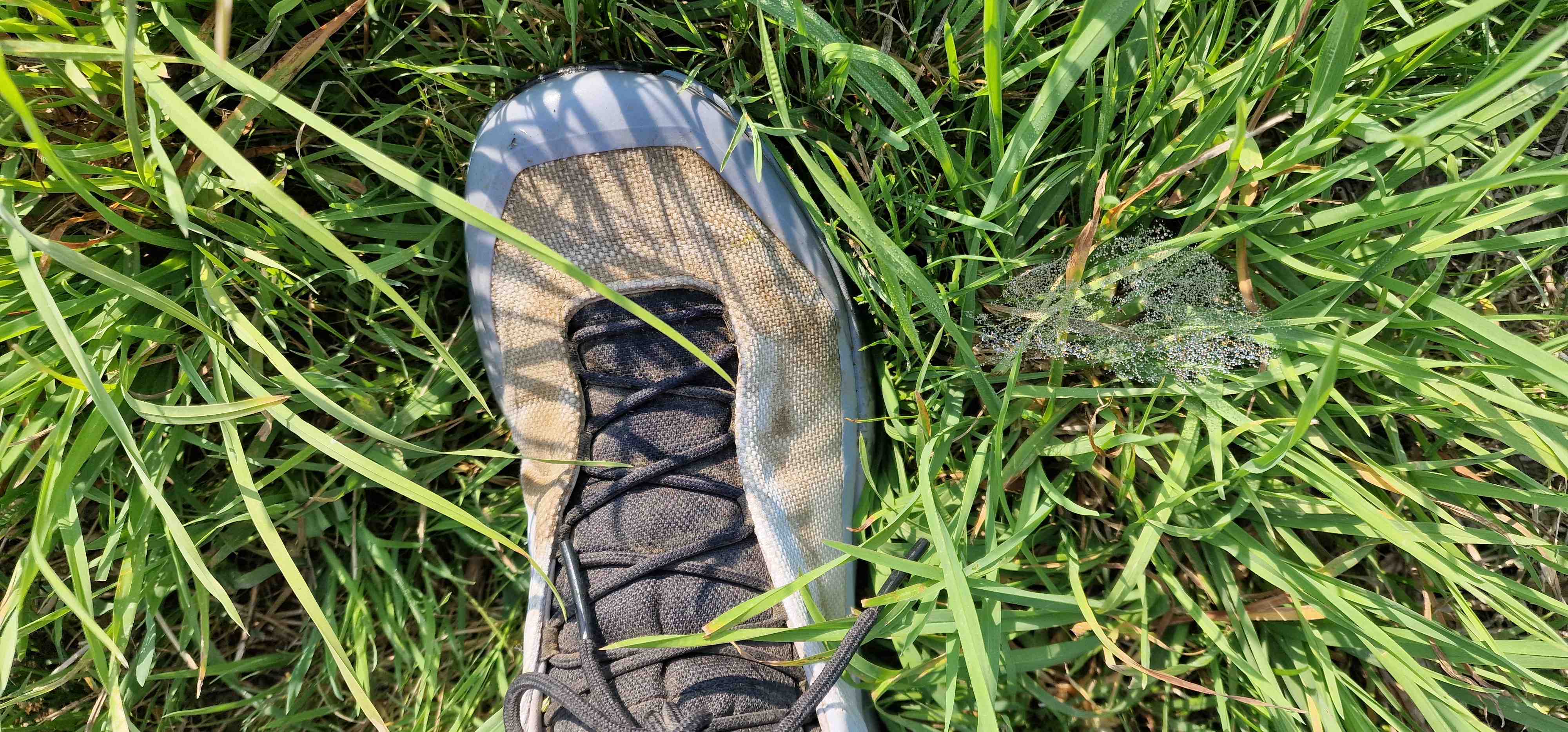 Nasse Wiesen zeigen schnell, ob der Schuh tatsächlich Wasserfest ist. Der Kopec hat den Test mit Bravour bestanden.