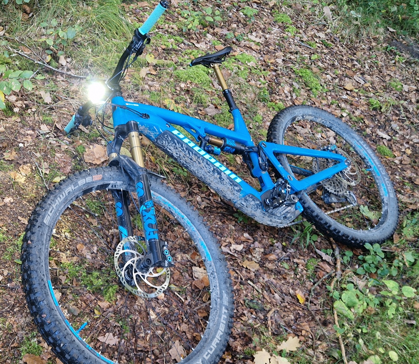 Trelock - Lighthammer Pro 250