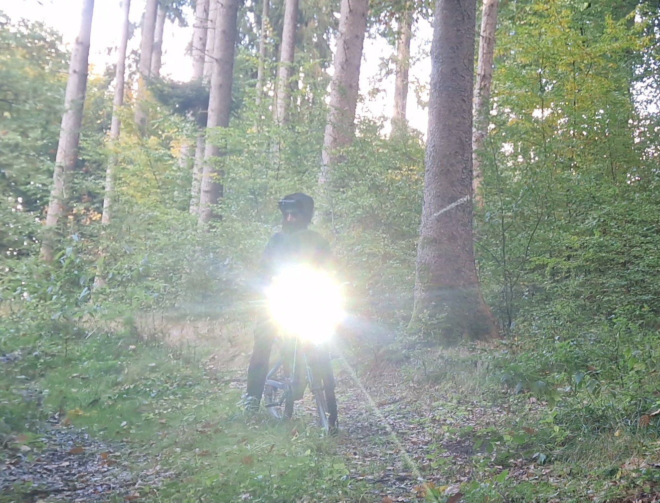 Trelock - Lighthammer Pro 250