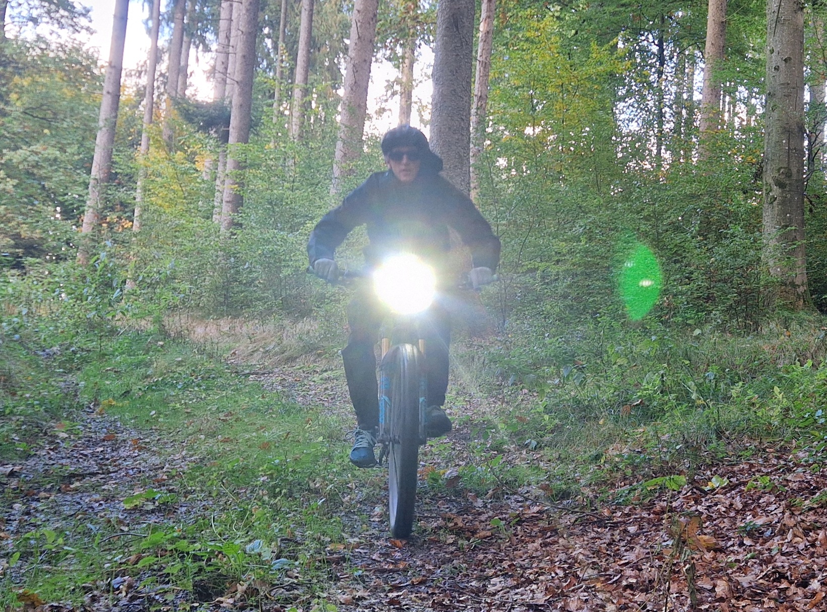 Trelock - Lighthammer Pro 250