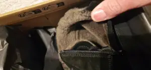 Der Stiefel ist komplett mit Lammfell ausgeschlagen.