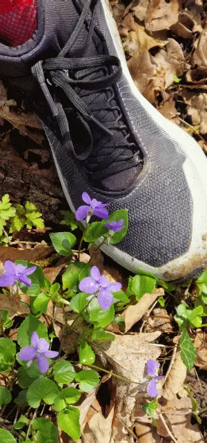 Schwarz ist eine perfekte Farbe.