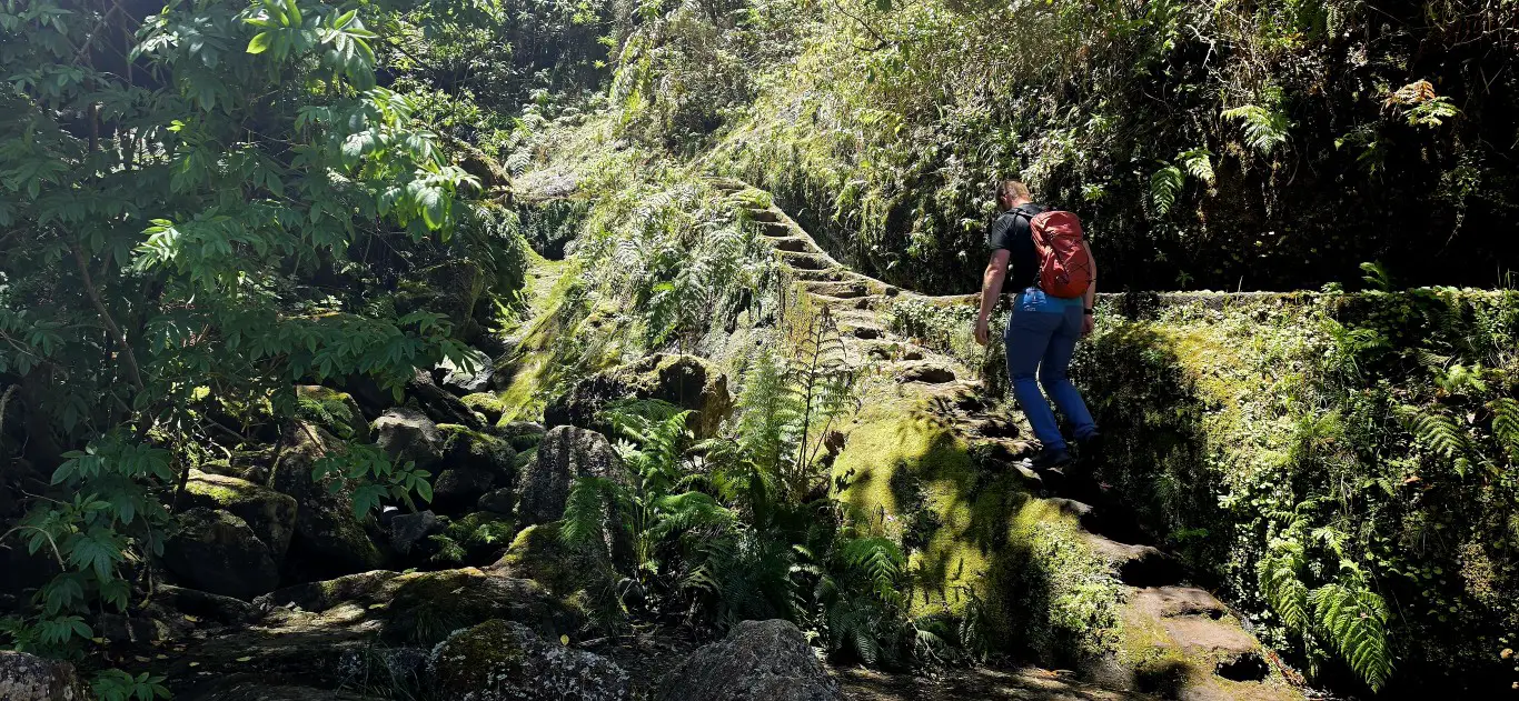 Der kompetente OUTSIDEstories-Test: DECATHLON QUECHUA Wanderschuhe MH900 low - Wanderschuhe Herren
