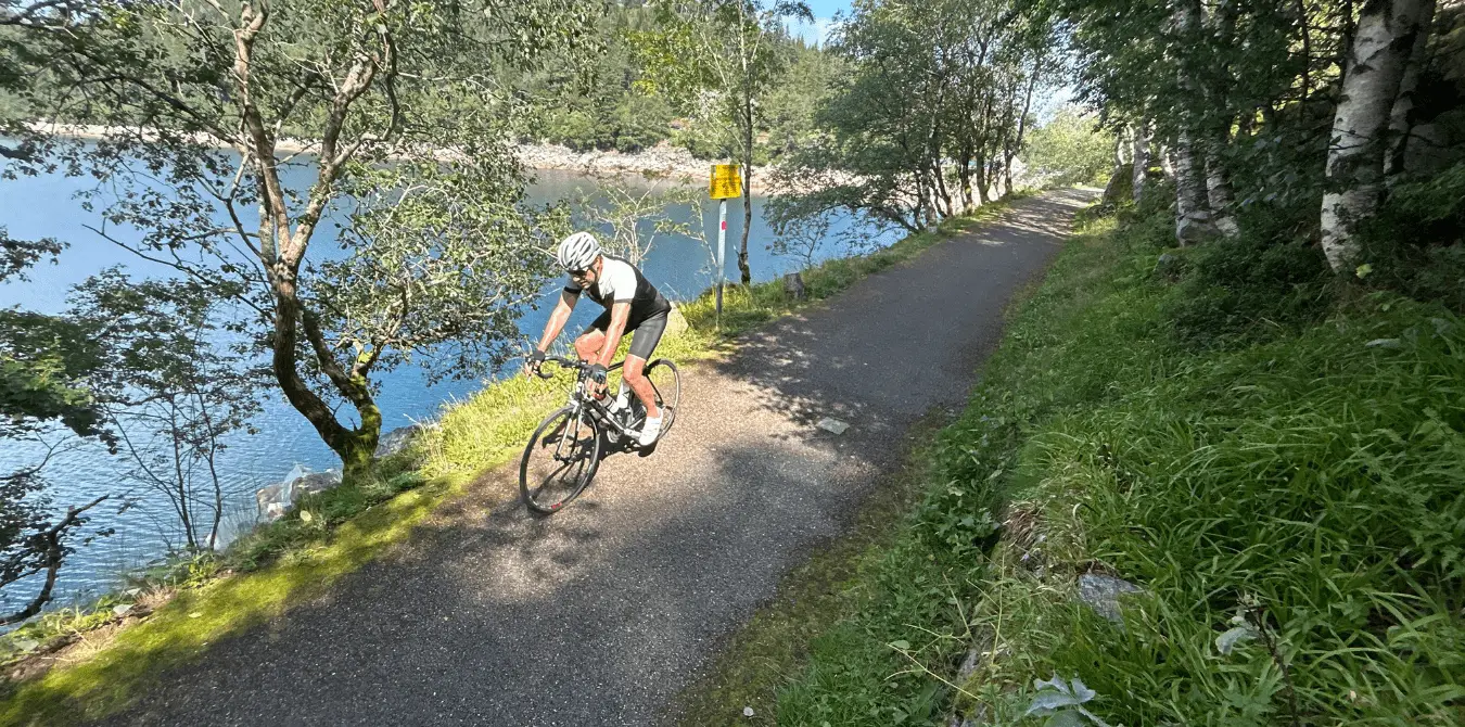 Gravelbike und Rennradtouren im Elsass