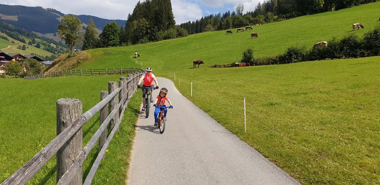 DISTEL - bikeZipper