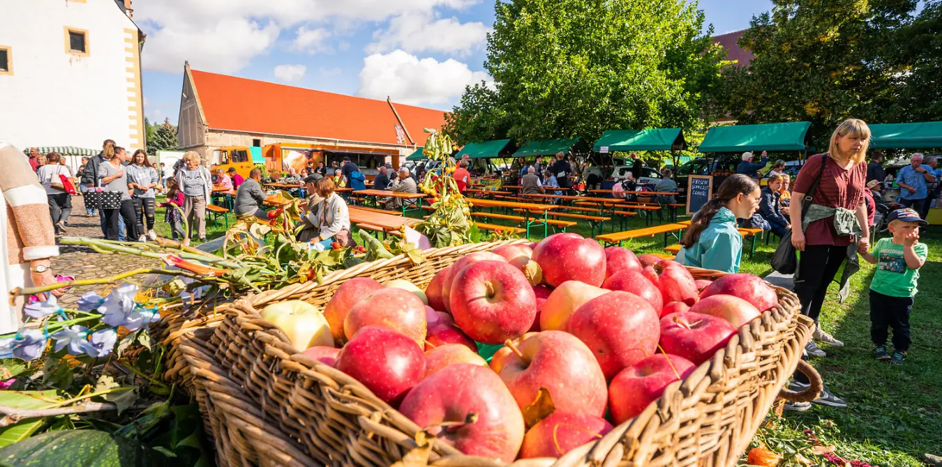 6 Radhighlights in der Leipzig Region - Sachsen