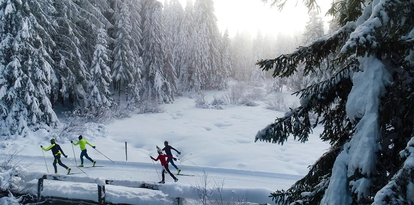 hochschwarzwald langlaufen