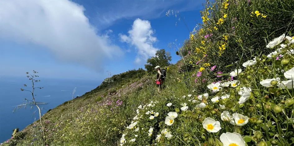 Amalfi-Küste Wandern