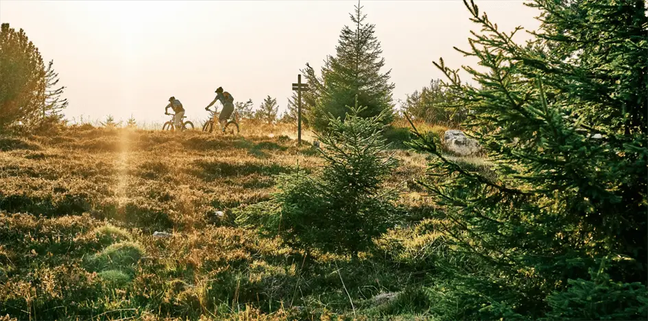 Baiersbronn MTB