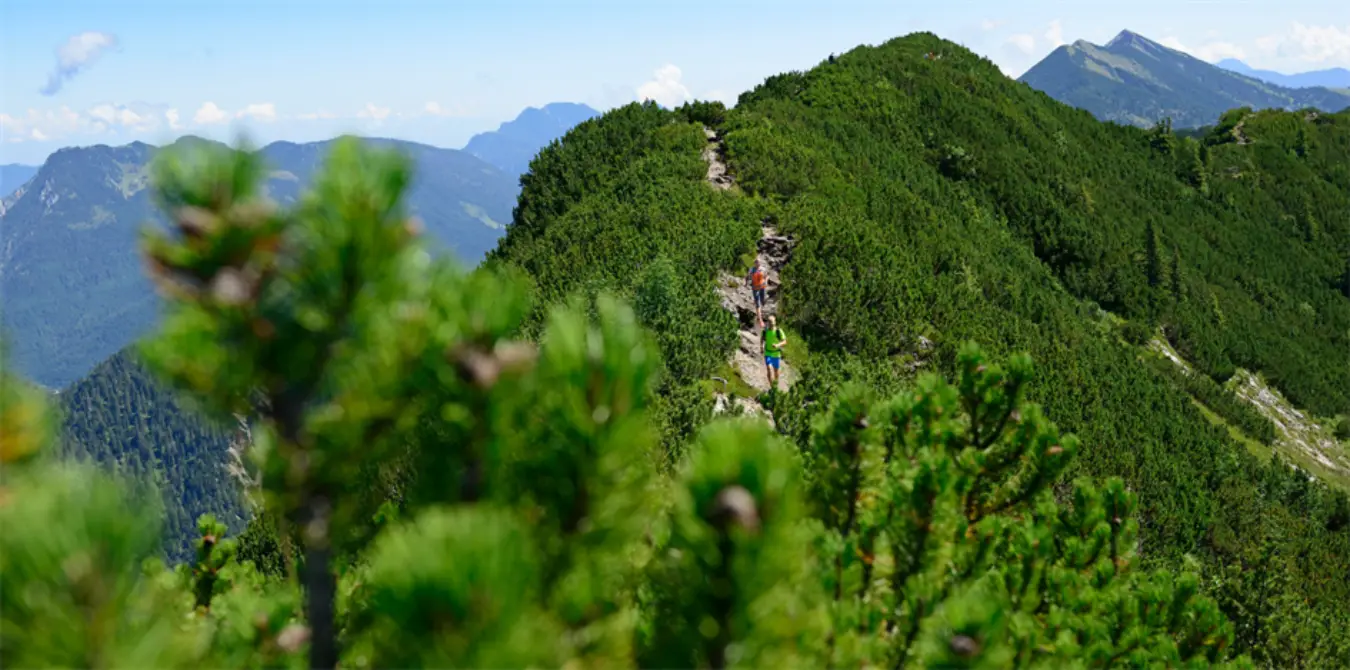 Trailrunningschuhe