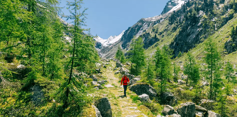 Wildkogel-Arena