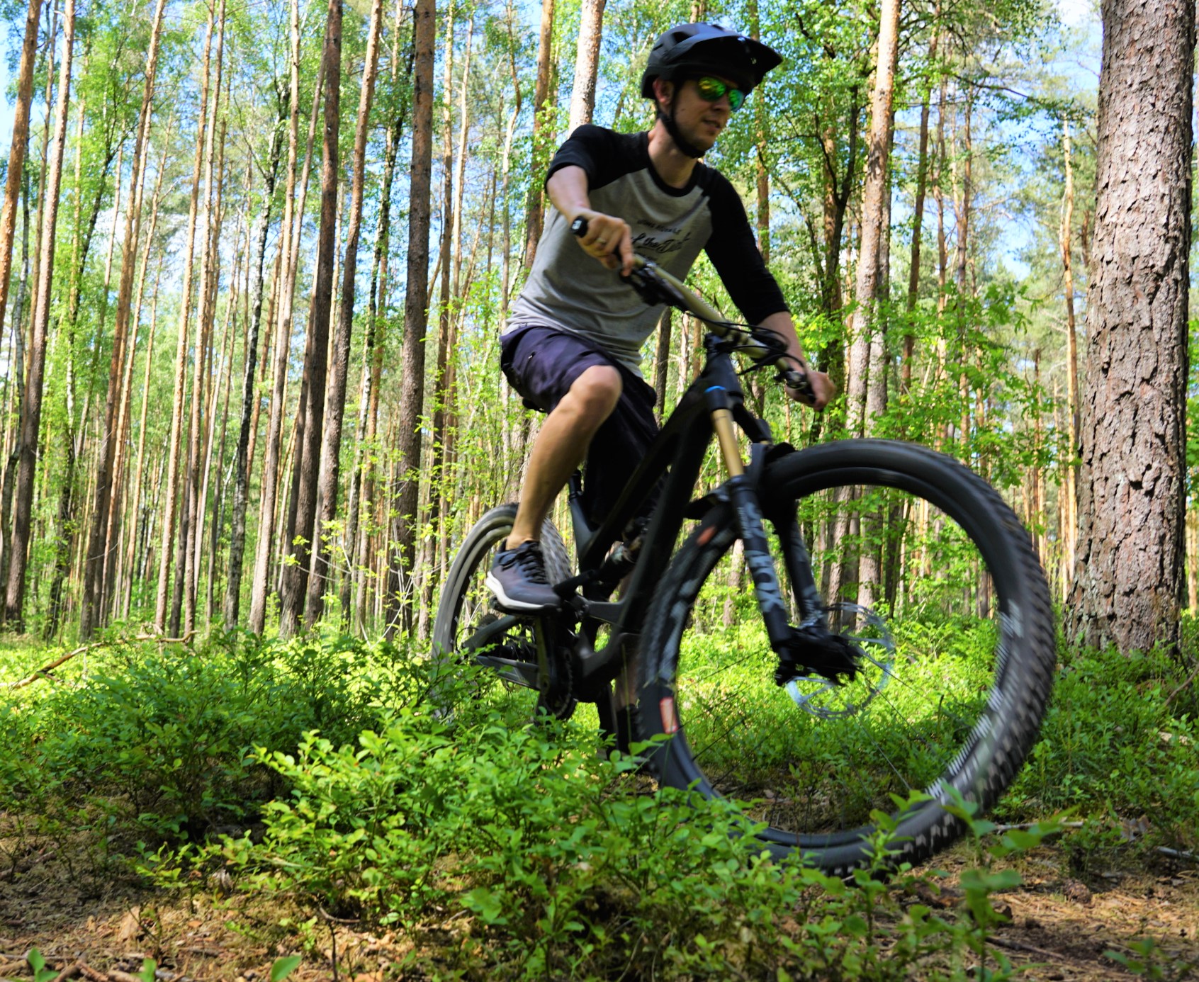 im Wald auf dem Trail