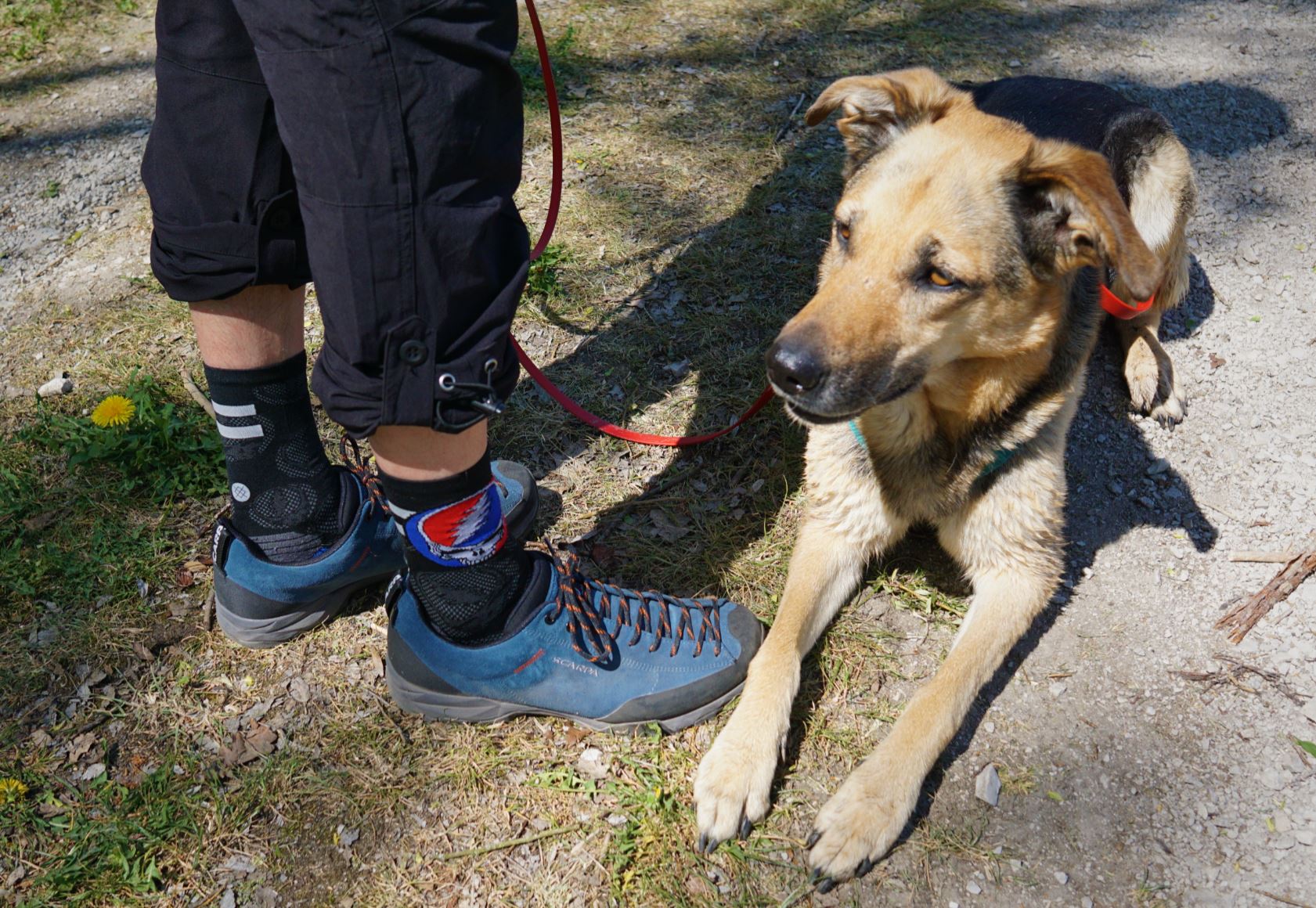 mit Hund