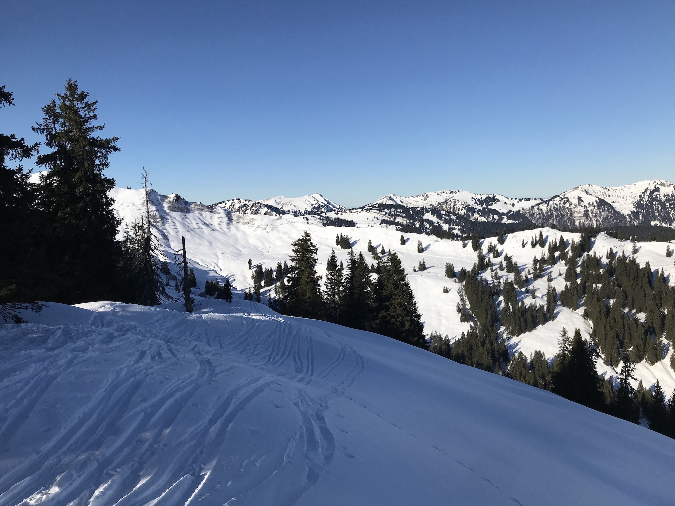 Übergang zum Riedberger Horn