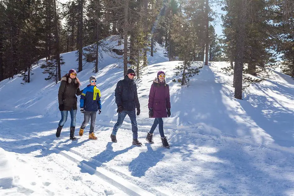 Turracher Höhe - Winterwandern