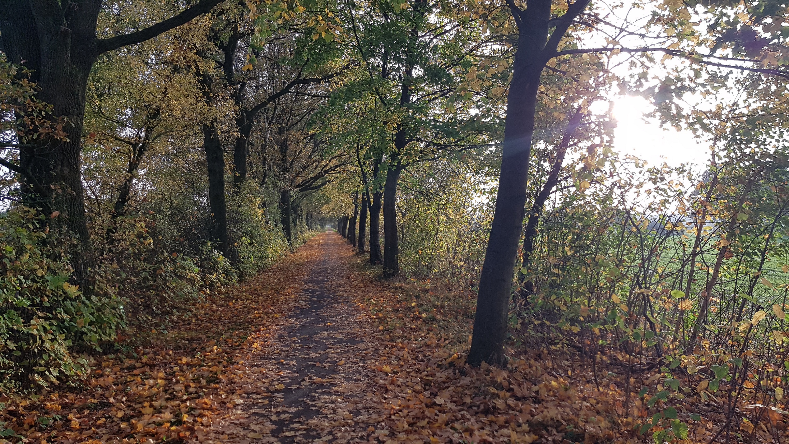 Radweg zurück nach Hamburg