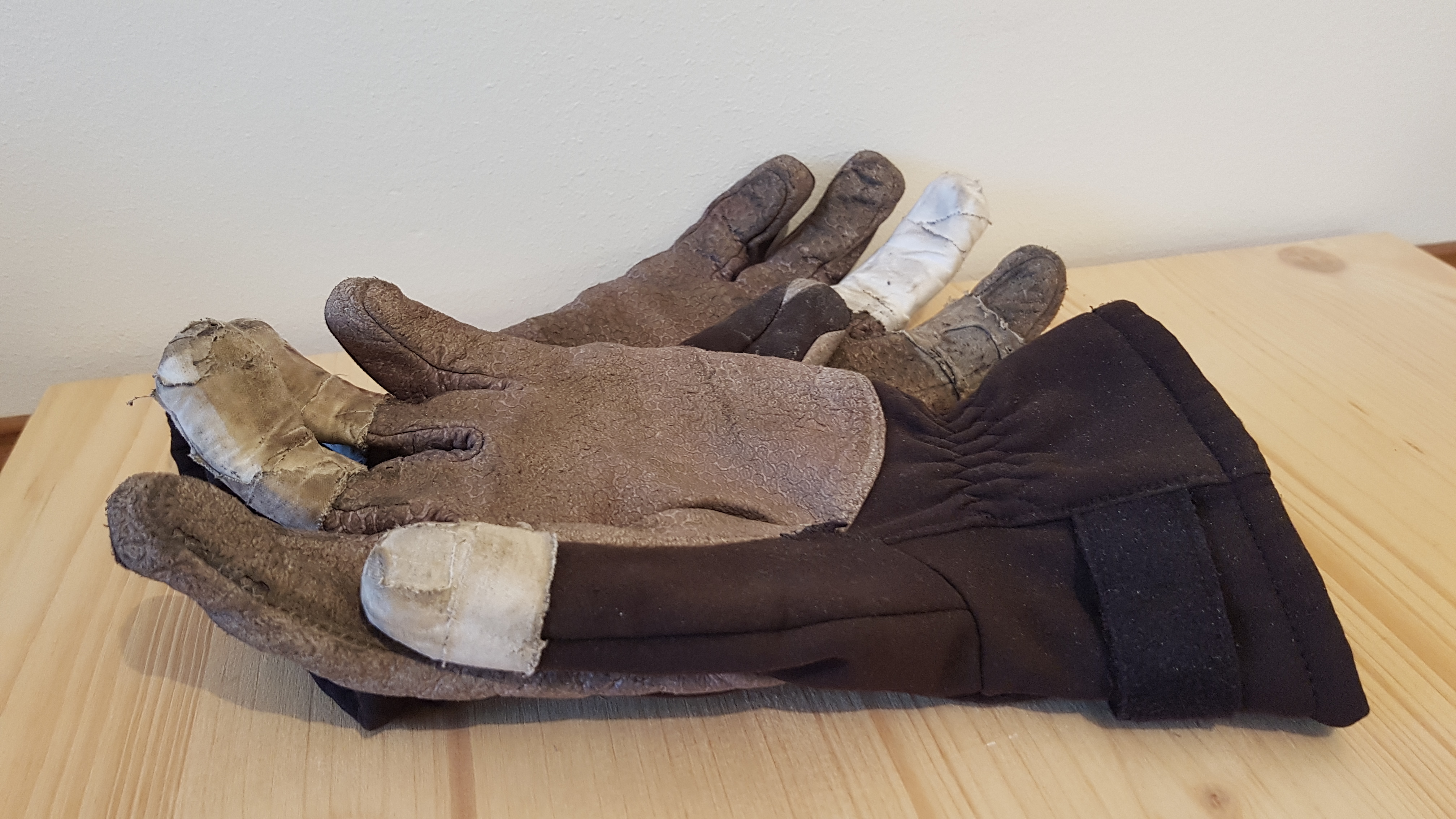 Handschuhpaar Gesamtansicht