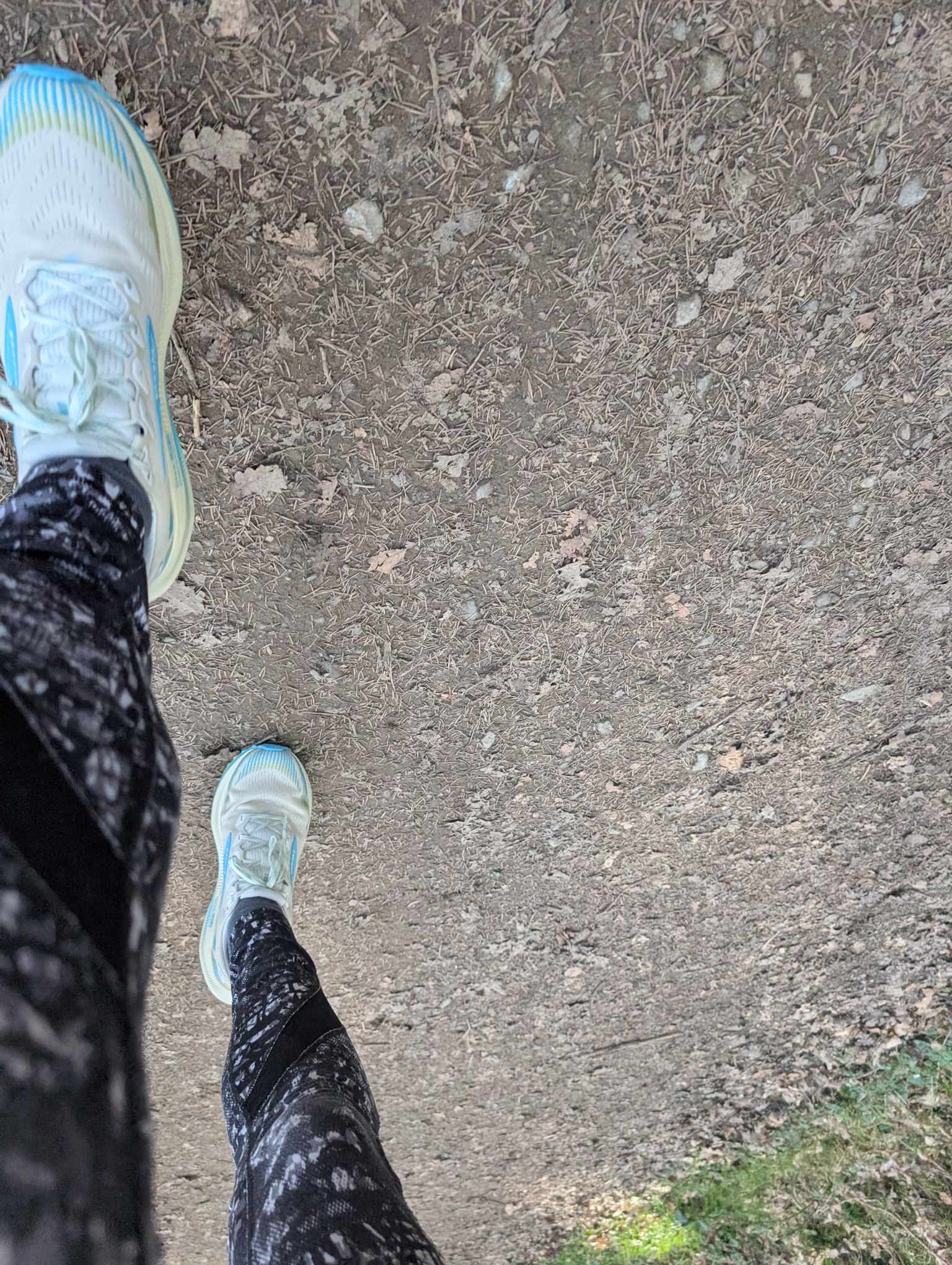 Schuhe auf waldwegen