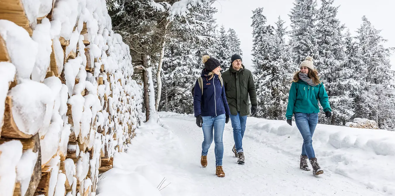 hochschwarzwald winterwandern