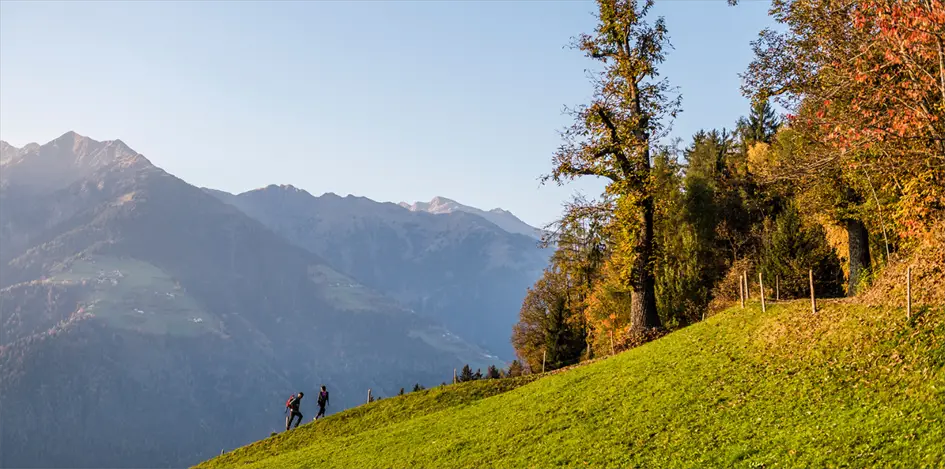 Schenna Südtirol