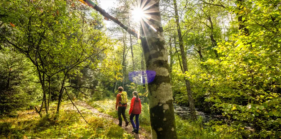 Nördlicher Schwarzwald Stiefelreisen