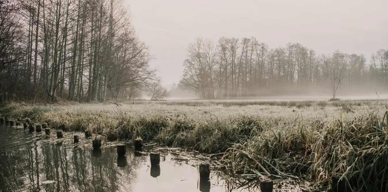 Der OUTSIDEstories-Unterwegstipp: Winterpaddeln im Spreewald 