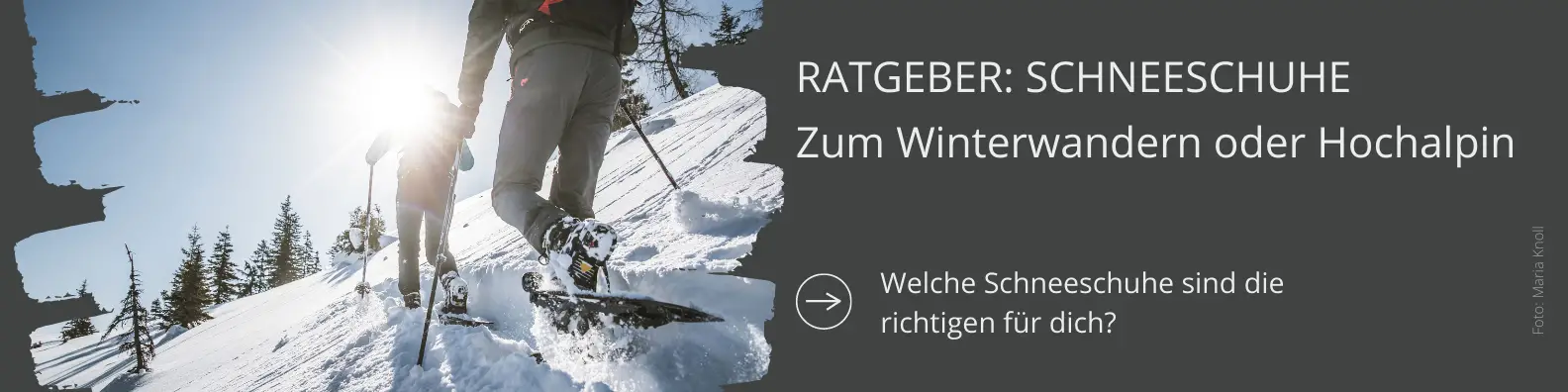Ratgeber Schneeschuhe