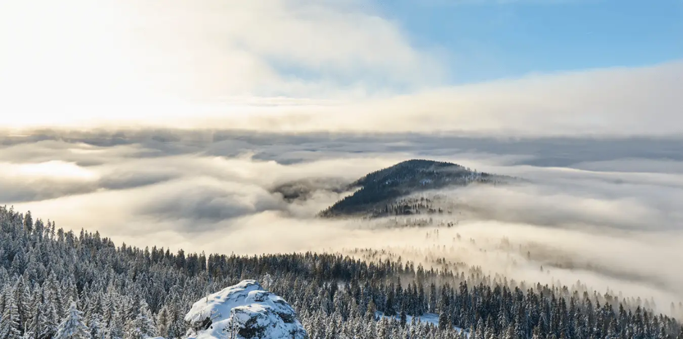 Winterwandern Bayerischer Wald