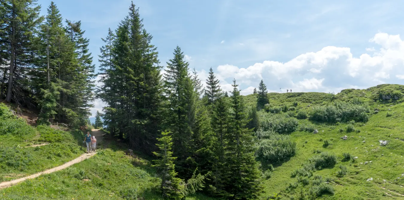 5 aussichtsreiche Wanderungen mit der Bergbahn in Vorarlberg-Bregenzer-Wald - Österreich