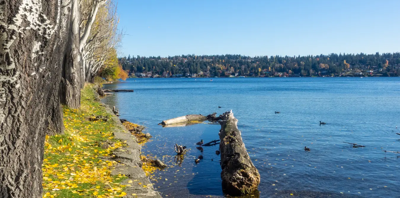 5-Urban-Hiking-Trails in Seattle - USA, Washington State
