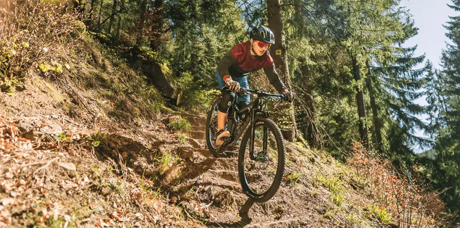 Mountainbike Baiersbronn