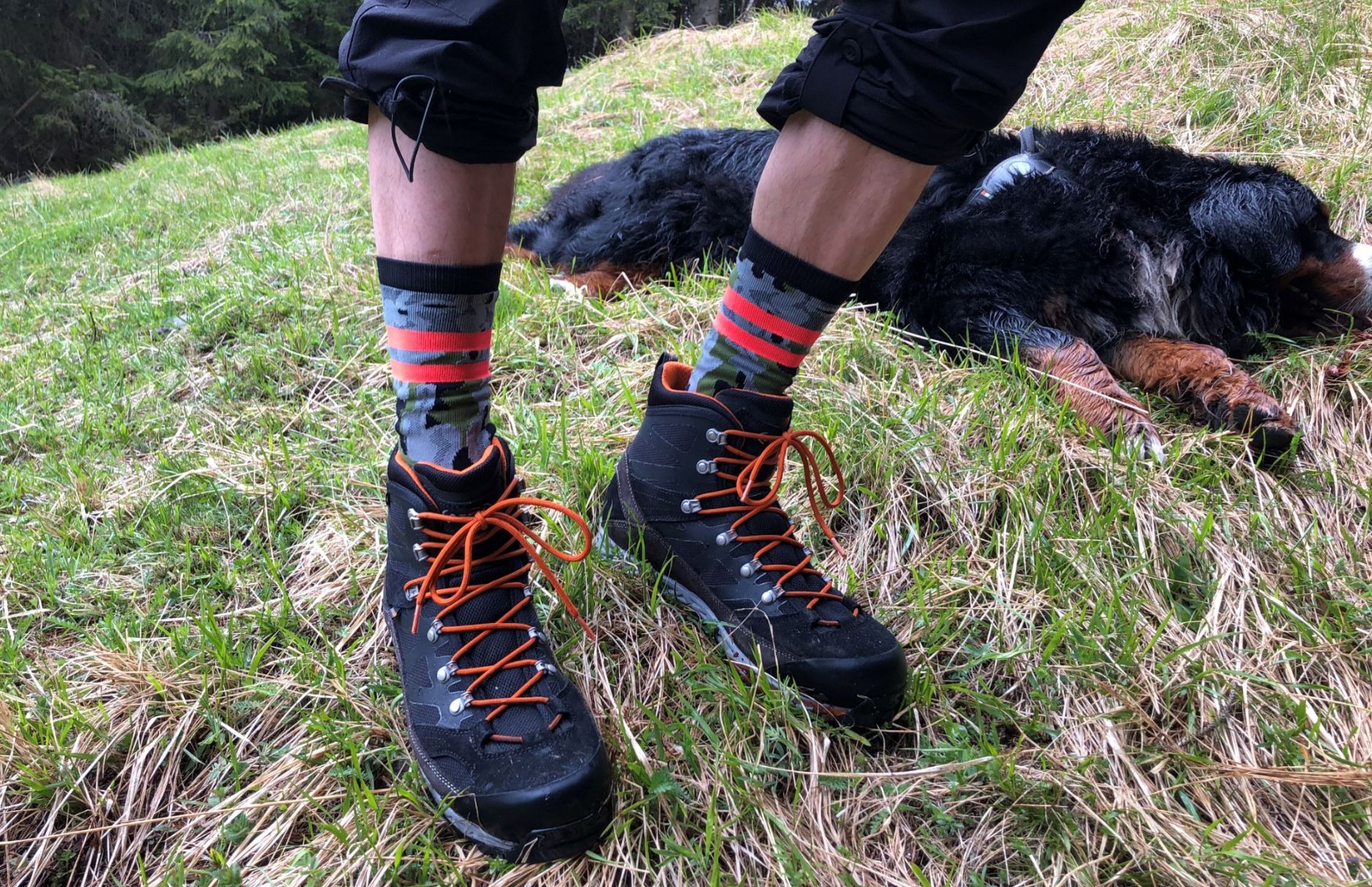 Schuhe vor Hund